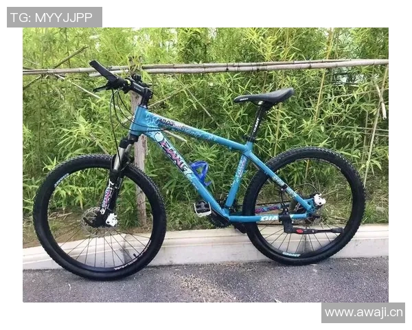 探索捷安特ATX790山地车的性能与骑行体验全解析