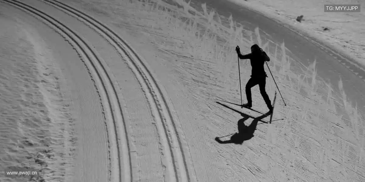 🎁限量珍藏,把热爱穿在身上!👕